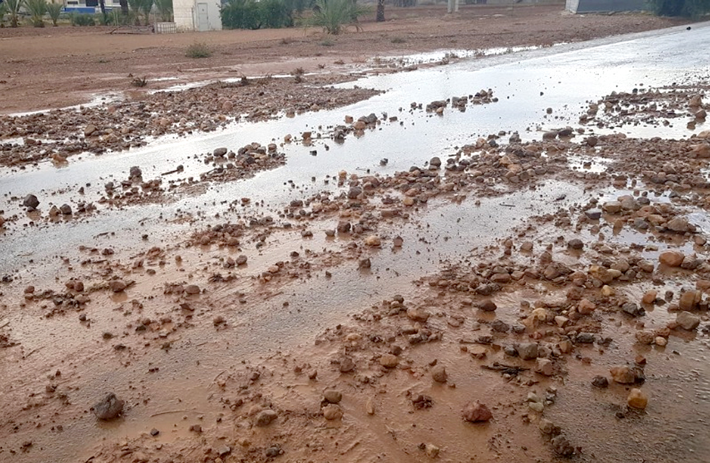 Las tormentas regaron de forma generosa el municipio y sus campos